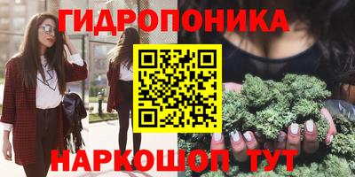 прущая мука Гатчина