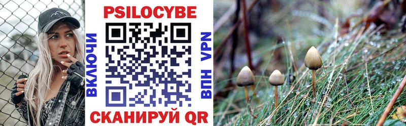 Галлюциногенные грибы MAGIC MUSHROOMS  Торжок 