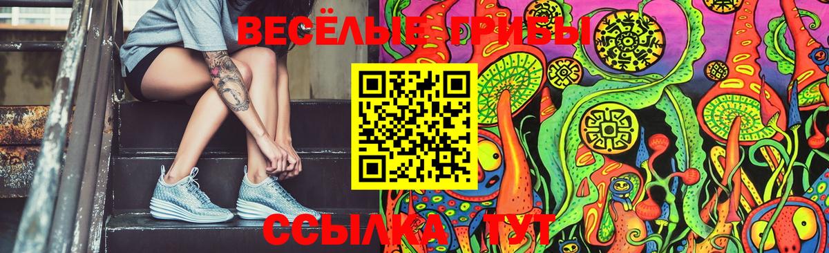 Галлюциногенные грибы GOLDEN TEACHER  где найти   Торжок 