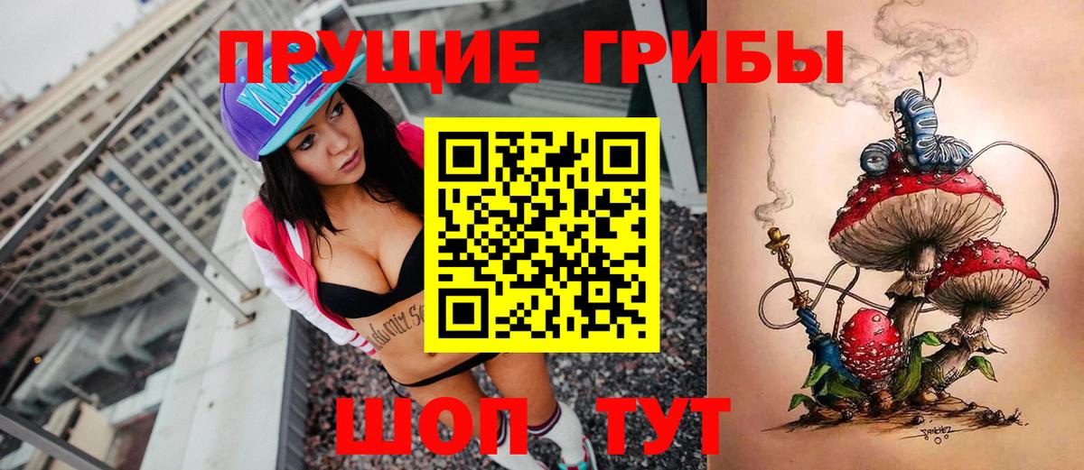 Псилоцибиновые грибы GOLDEN TEACHER Торжок
