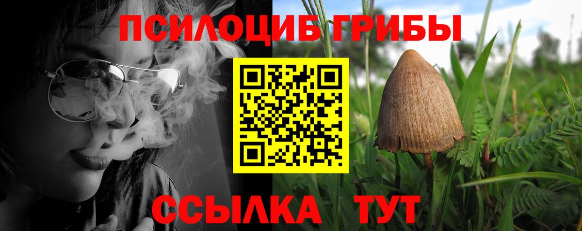 Торжок  Псилоцибиновые грибы Cubensis  Вход с VPN  Галлюциногенные грибы мицелий 