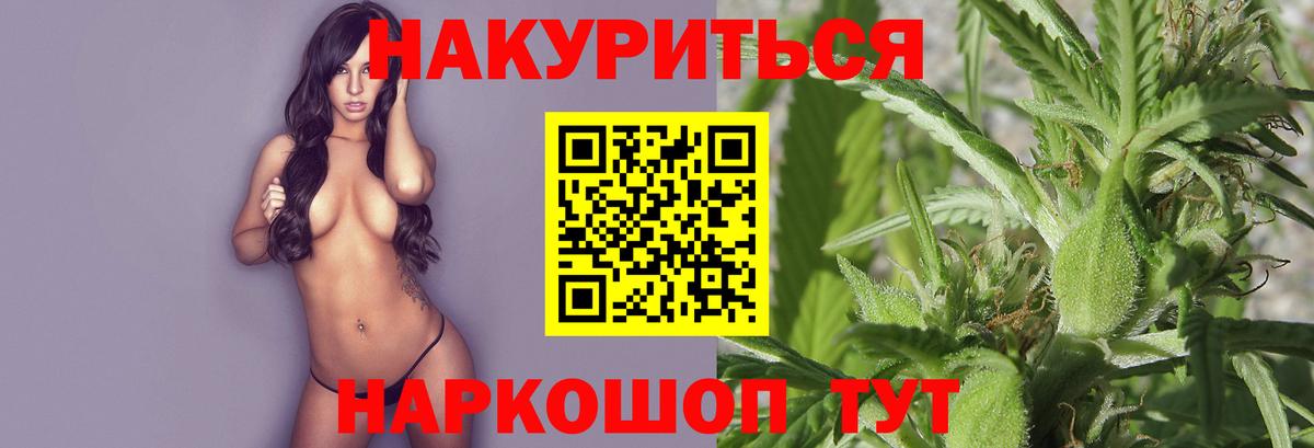 Каннабис семена  Марихуана гибрид  Торжок  Канабис SATIVA & INDICA 